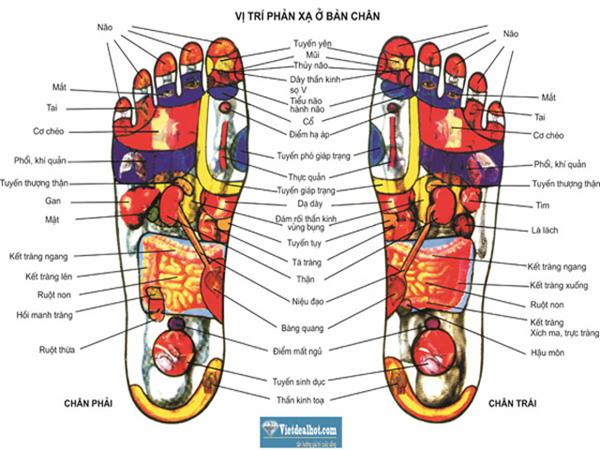 Vùng phản xạ bàn chân (theo y học truyền thống Tây Tạng)