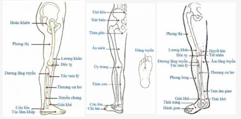 Huyệt vùng chân mặt trước bên, sau ngoài và trước trong
