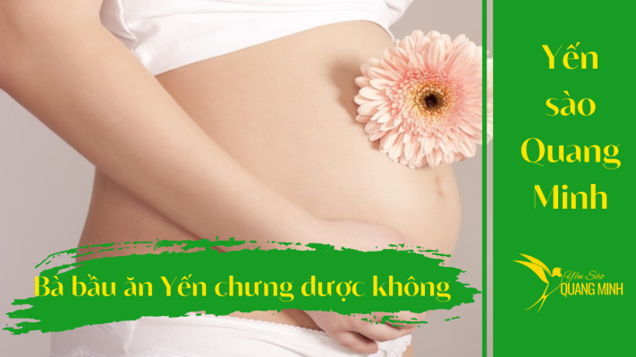 Bà bầu có ăn yến chưng được không