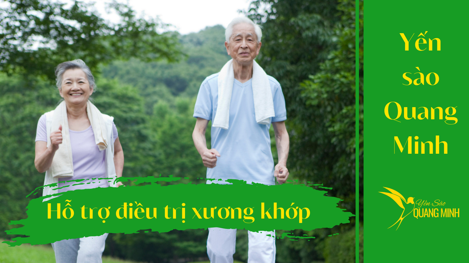 Tác dụng của tổ yến đối với người già