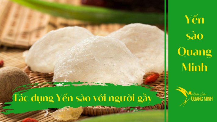tác dụng của yến sào với người gầy