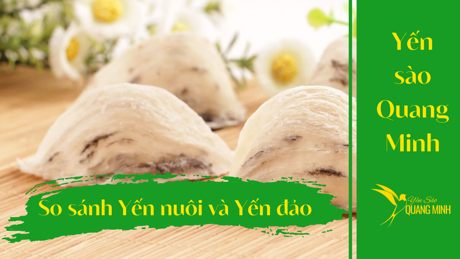 yến sào thiên nhiên và yến sào nuôi