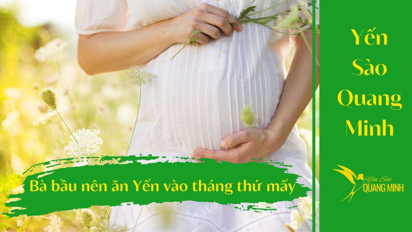 Bà bầu nên ăn yến vào tháng thứ mấy