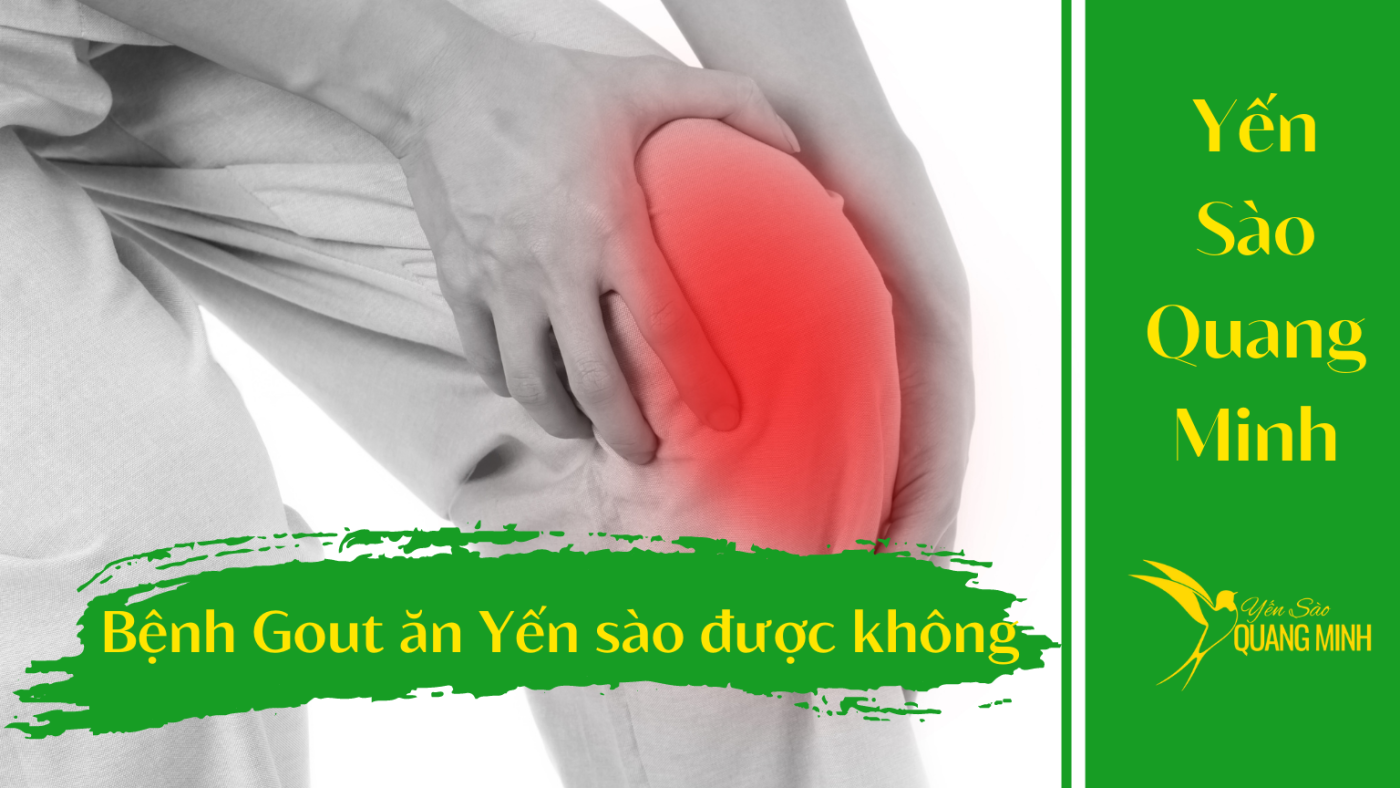 Bệnh gout ăn yến sào được không