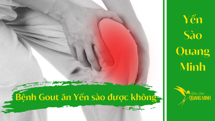 Bệnh gout ăn yến sào được không