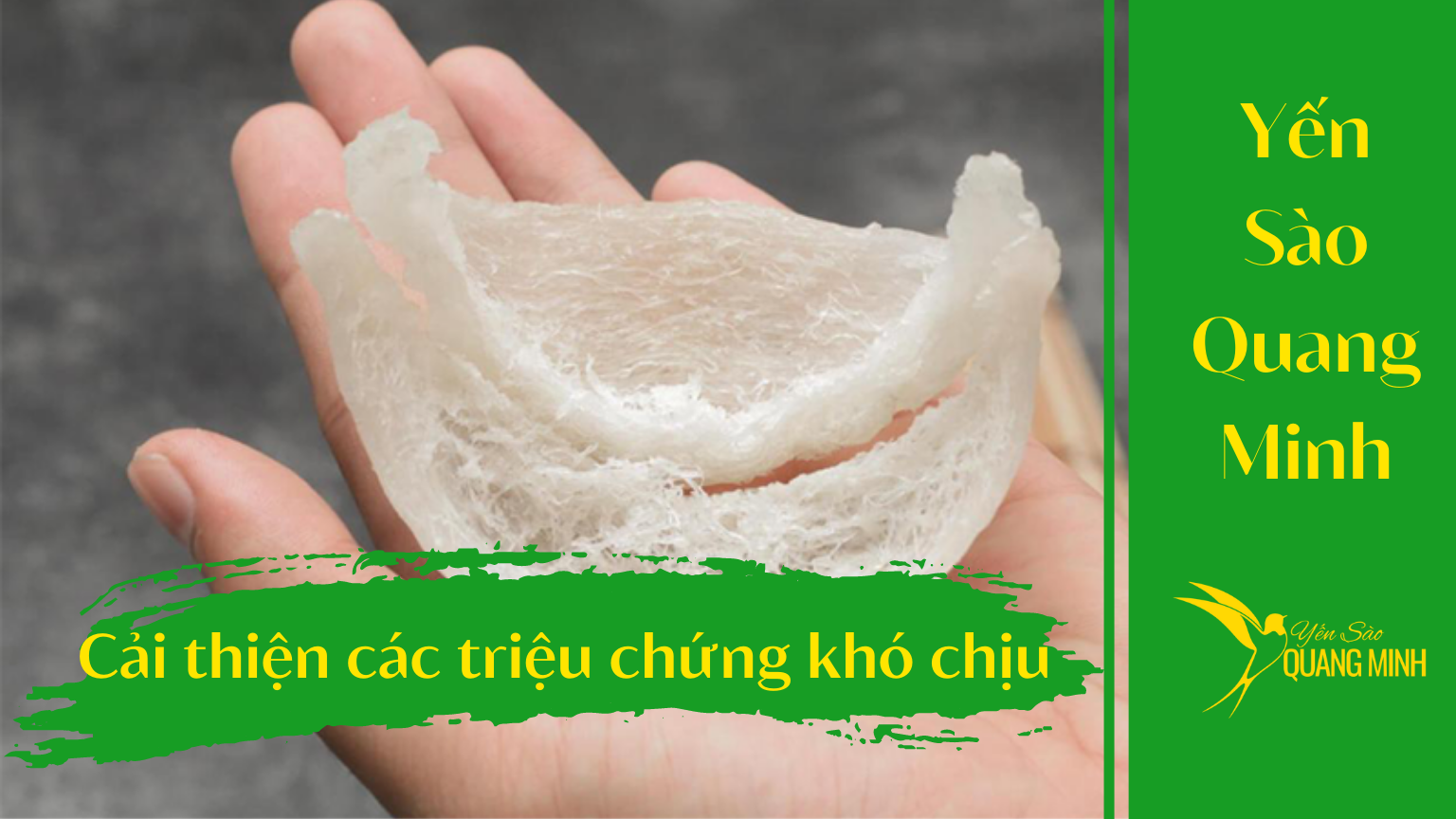 Đau dạ dày có nên ăn yến không