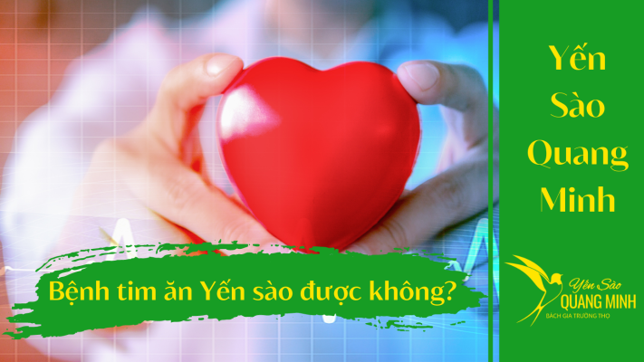 bệnh tim có ăn yến sào được không