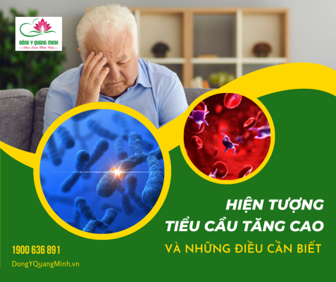 tiểu cầu tăng cao