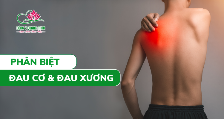 Phân Biệt Đau Cơ & Đau Xương