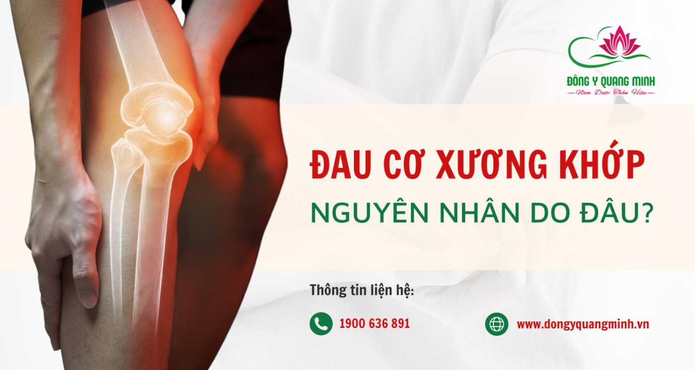 7 Nguyên Nhân Hàng Đầu Gây Đau Cơ Xương Khớp