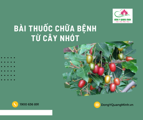 Bài Thuốc Chữa Bệnh Từ Cây Nhót