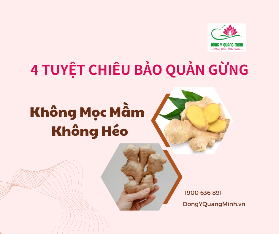 uyệt Chiêu Bảo Quản Gừng