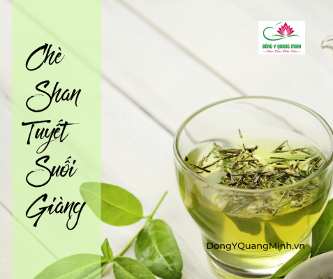 Chè Shan Tuyết Suối Giàng