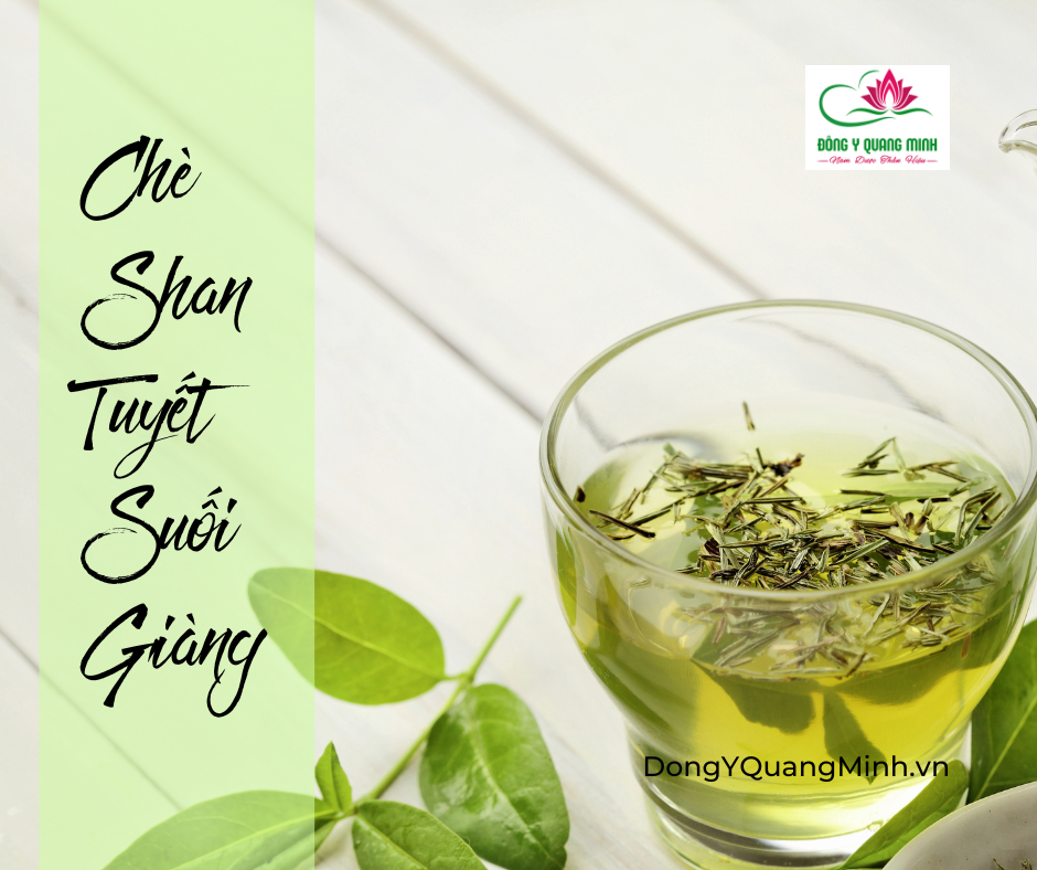 Chè Shan Tuyết Suối Giàng
