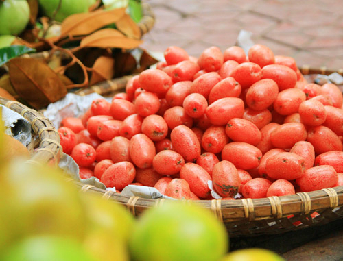 Bài Thuốc Chữa Bệnh Từ Cây Nhót