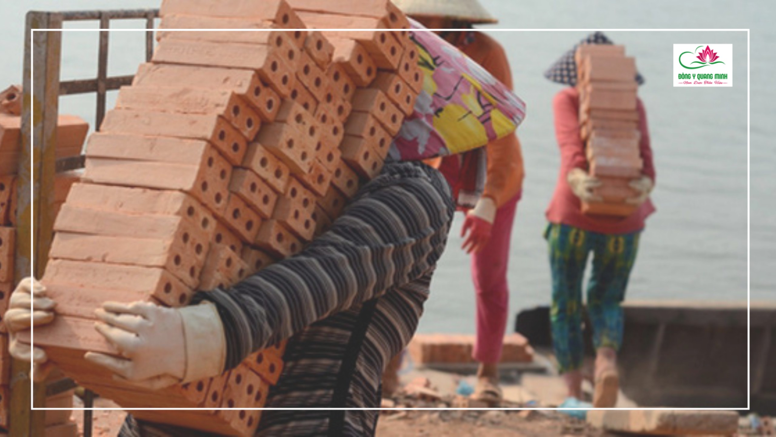 Ngũ Lao Thất Thương là gì