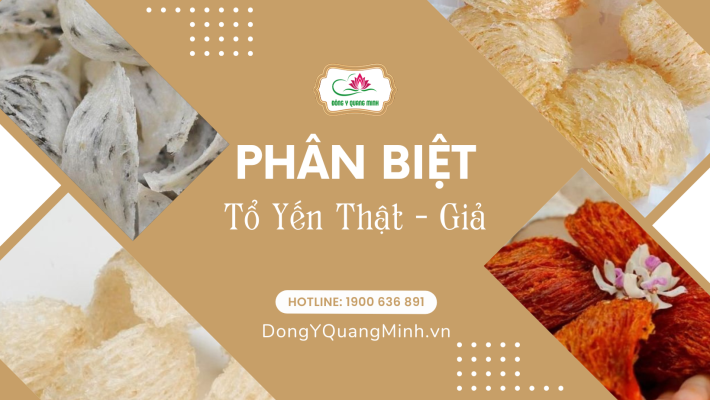 Cách Phân Biệt Tổ Yến Thật Giả