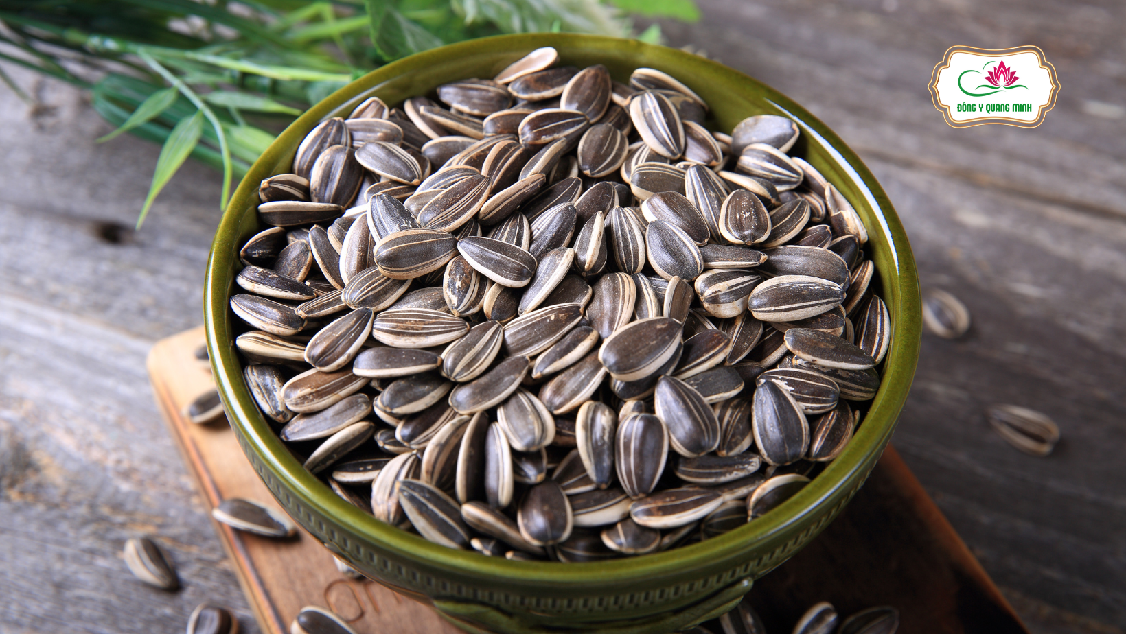 lợi ích sức khỏe của hạt hướng dương
