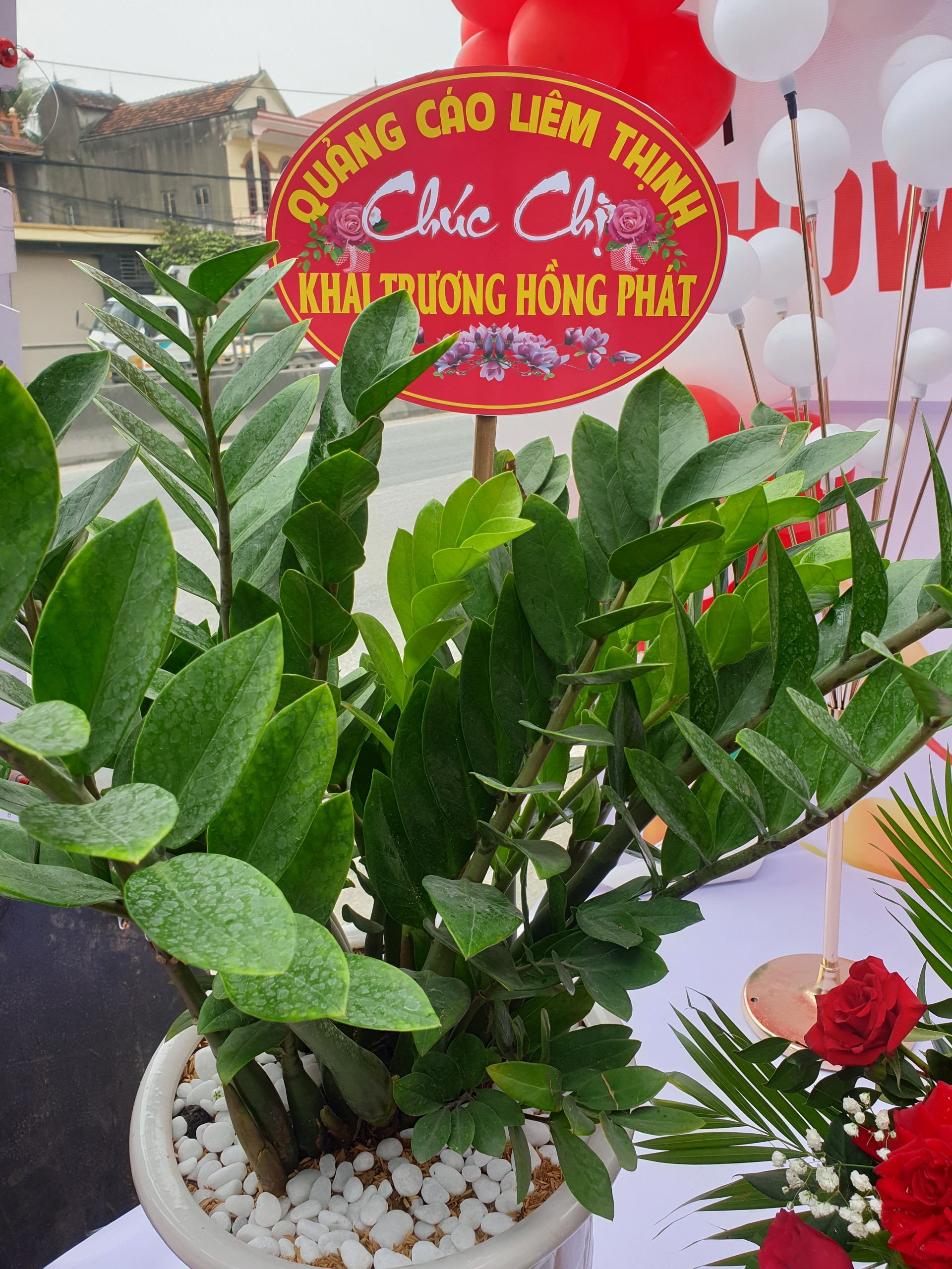 Khai Trương Showroom Yến Sào Quang Minh Tại Quỳnh Lưu Nghệ An