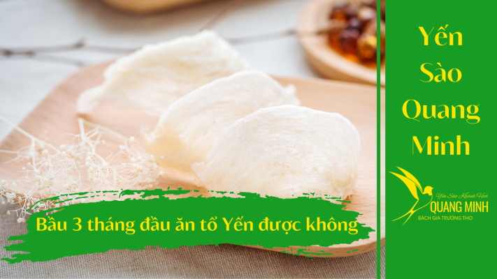Bầu 3 Tháng Đầu Ăn Tổ Yến Được Không?