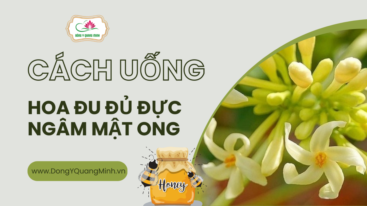 Những ai nên và không nên sử dụng hoa đu đủ ngâm mật ong