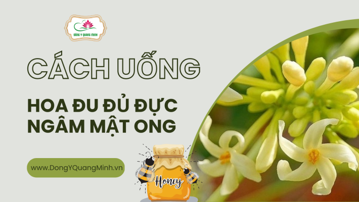 hoa đu đủ đực ngâm mật ong