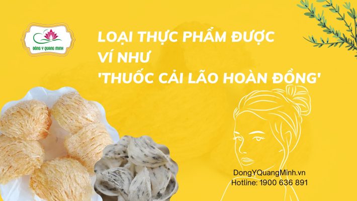 tổ yến