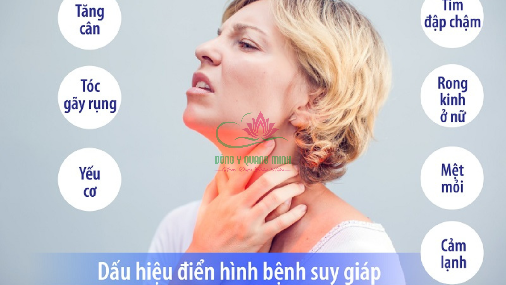 Giải phẫu tuyến giáp