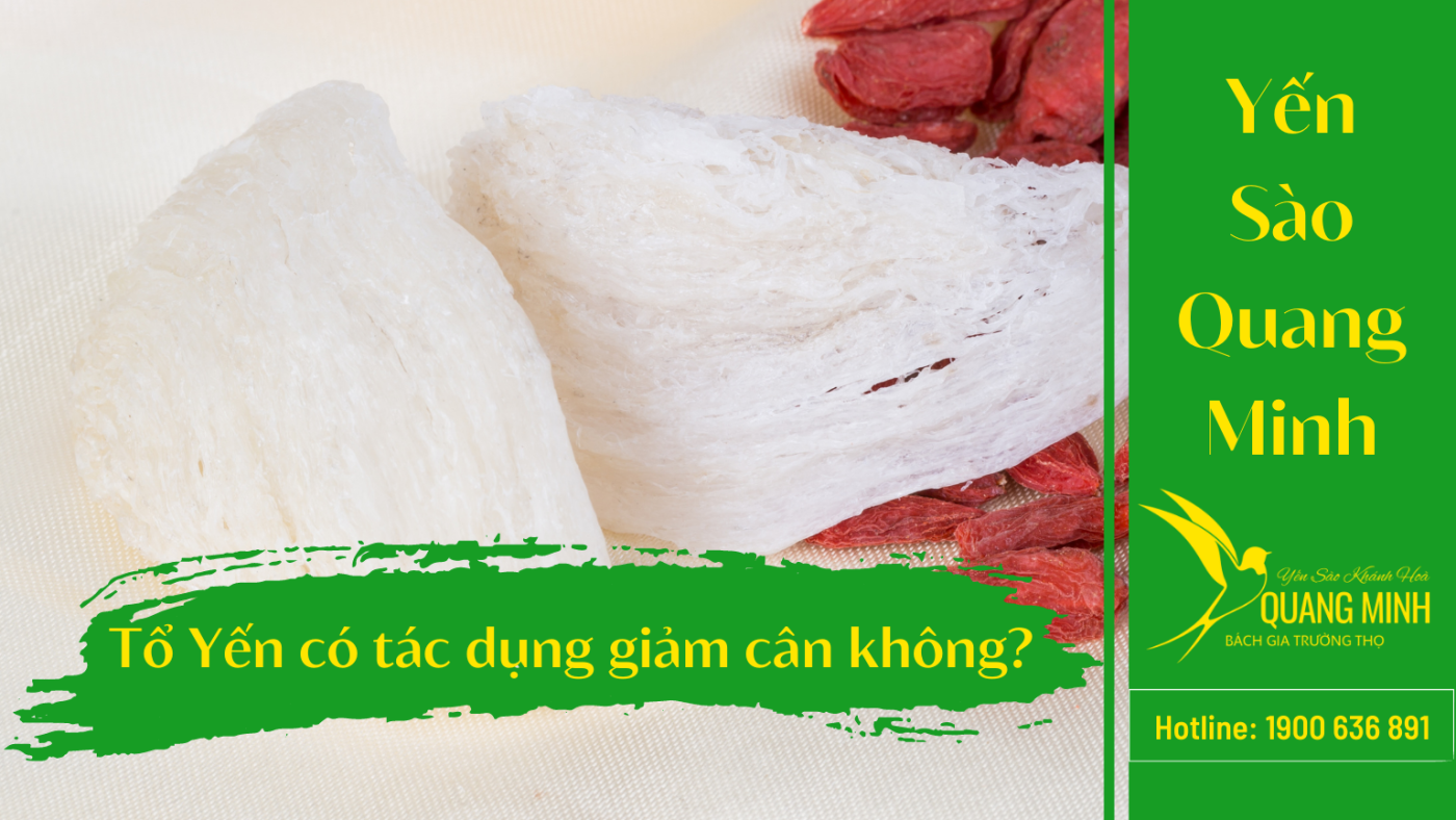 tổ yến có tác dụng giảm cân không
