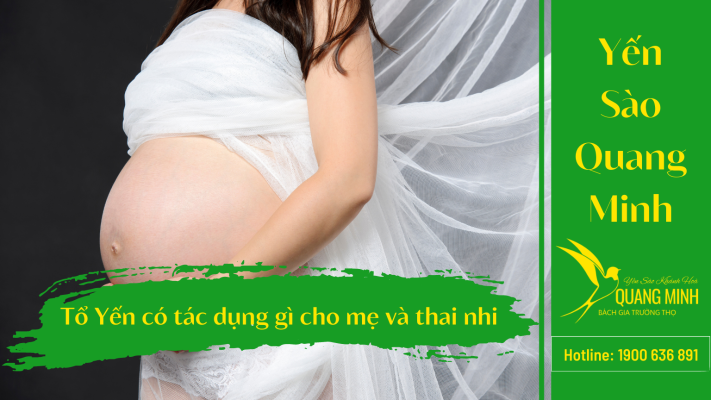 tổ yến có tác dụng gì cho thai nhi