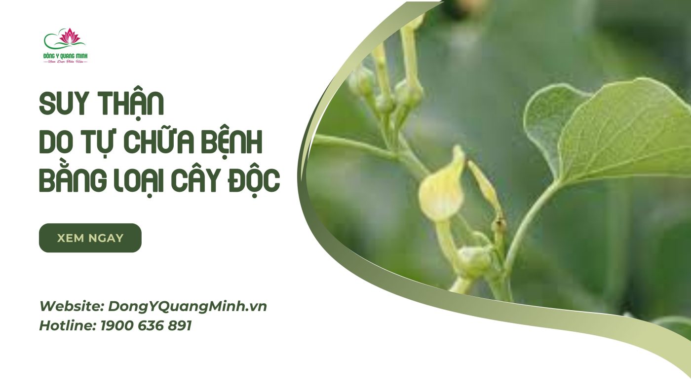 Suy Thận Do Tự Chữa Bệnh Bằng Loại Cây Độc