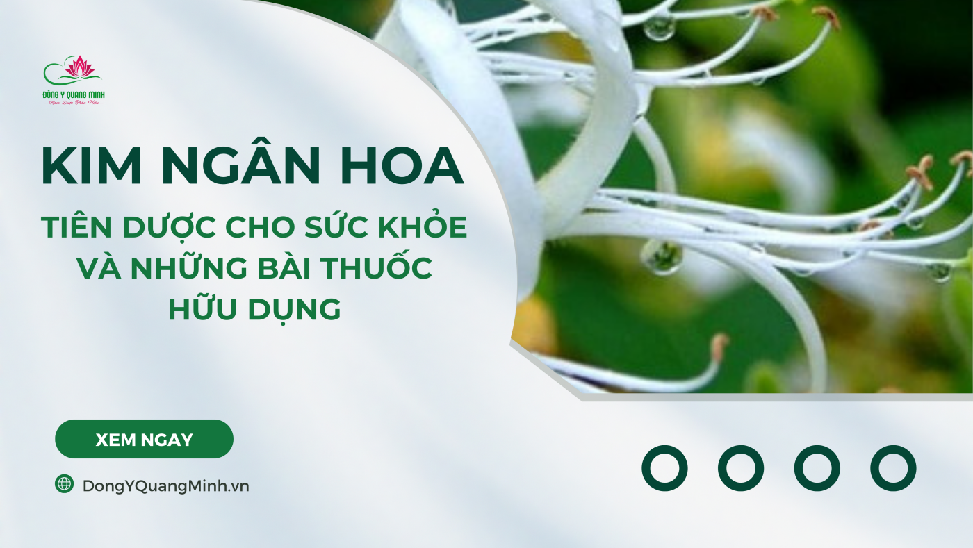 kim ngân hoa