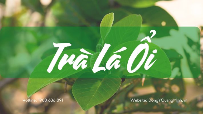 Công Dụng Của Trà Lá Ổi