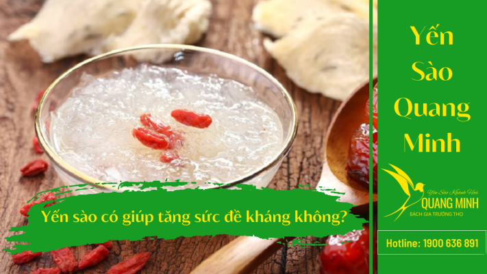 Yến Sào Giúp Tăng Sức Đề Kháng: Đúng Hay Sai?