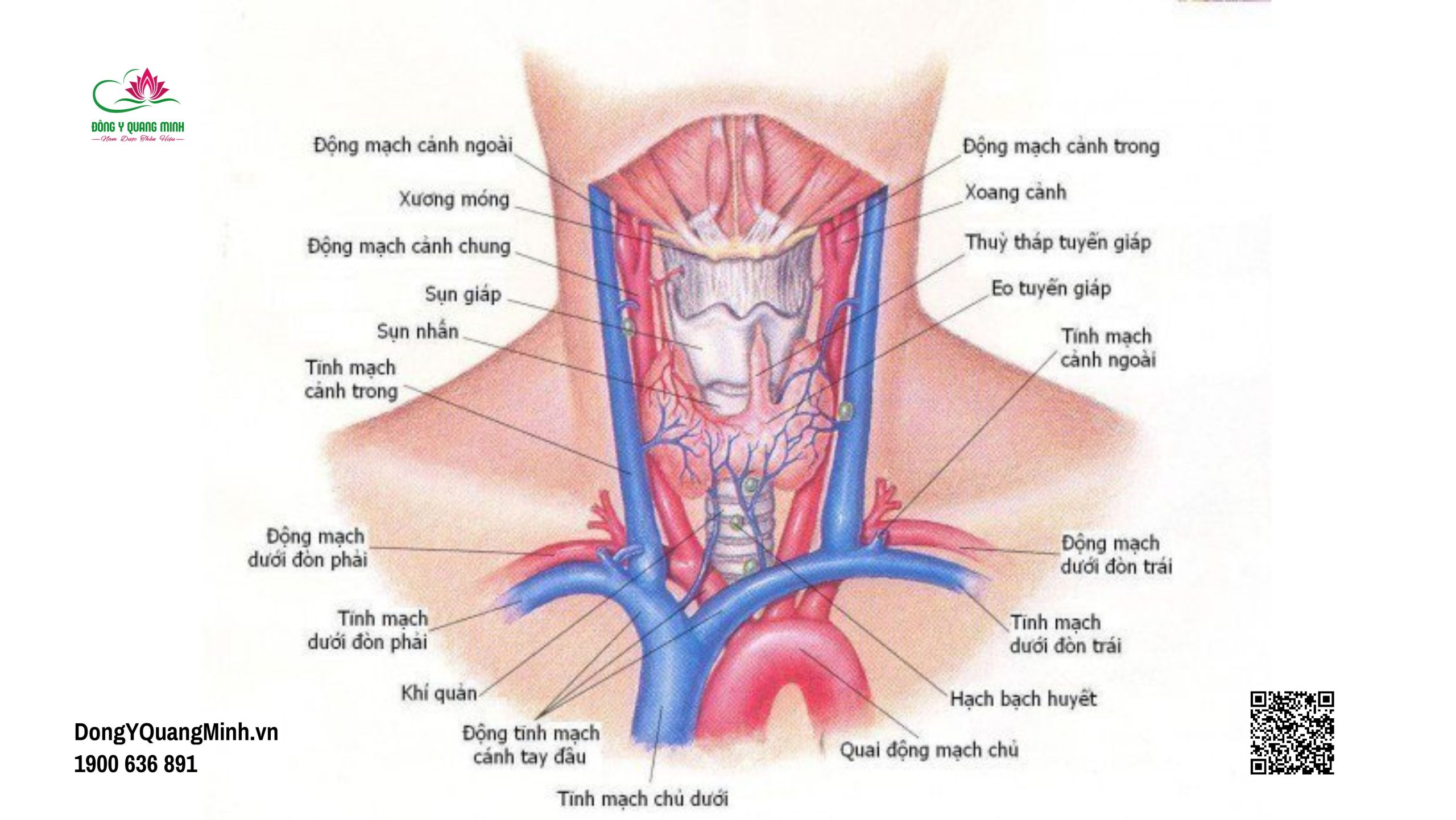 các bệnh tuyến giáp