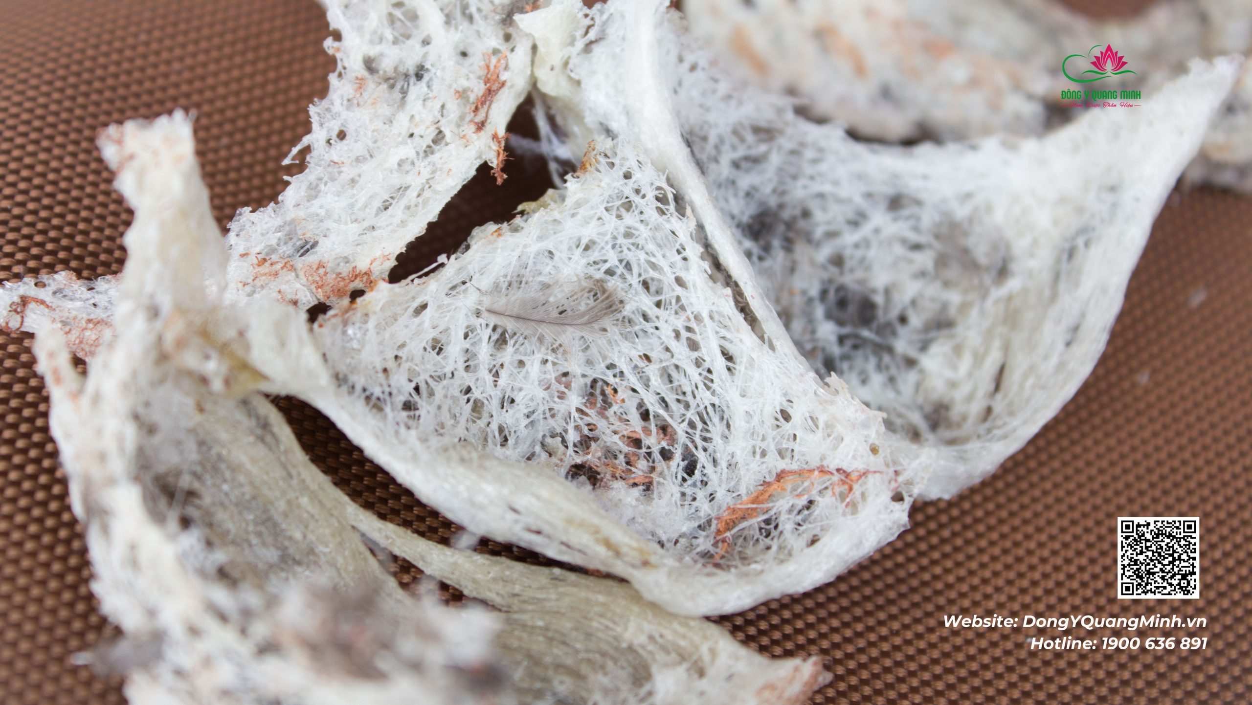 Người bệnh đái tháo đường có được ăn yến sào