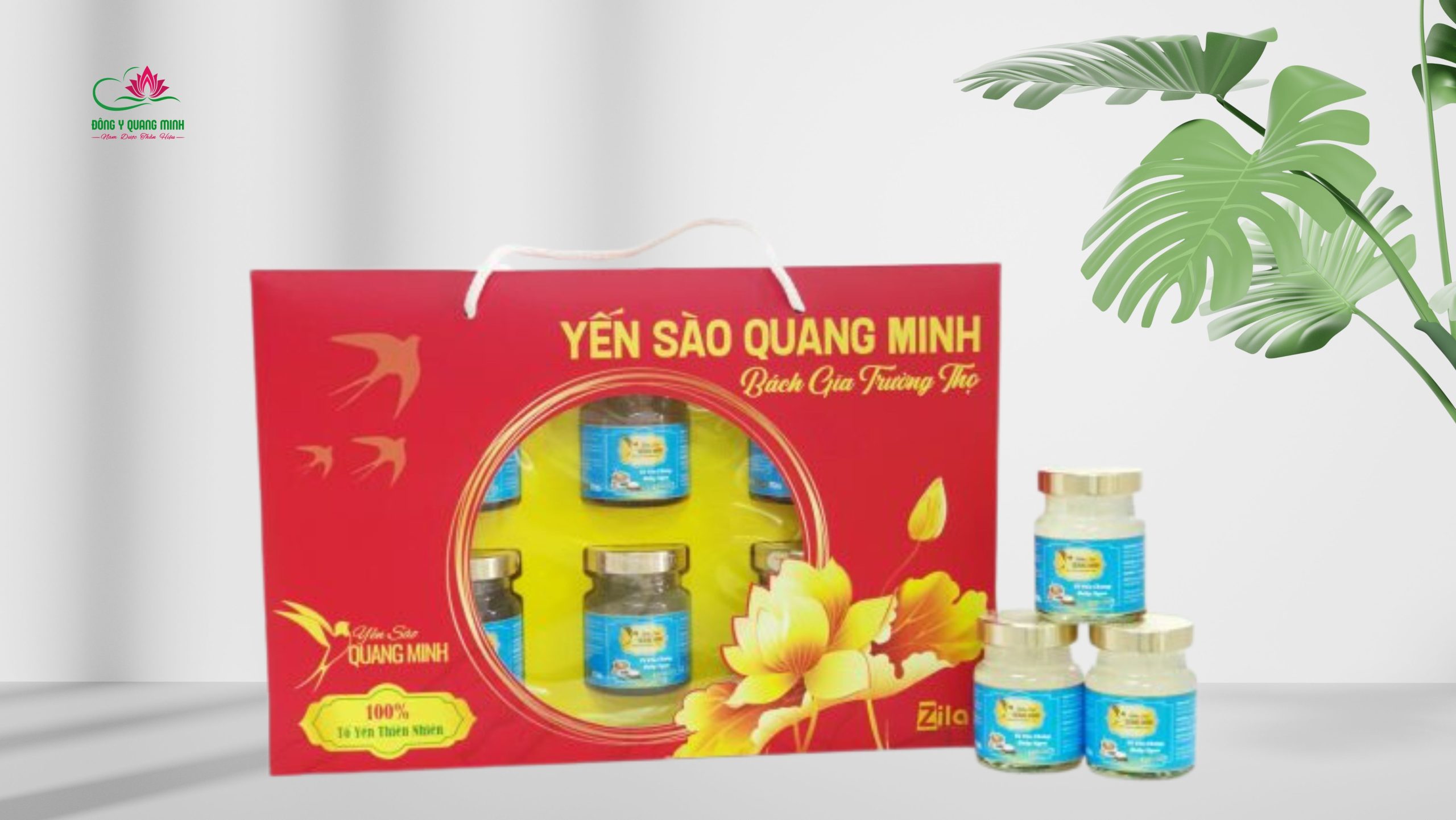 set 6 hũ yến đẹp