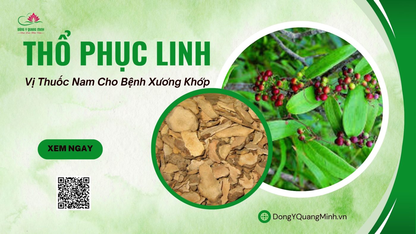 thổ phục linh