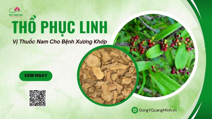 thổ phục linh