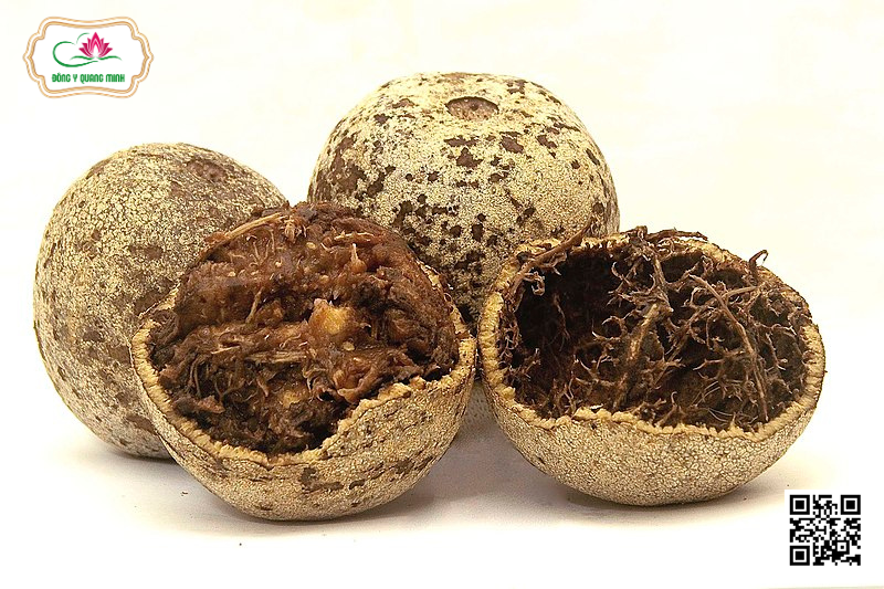 Quách – Limonia Acidissima, Rutaceae