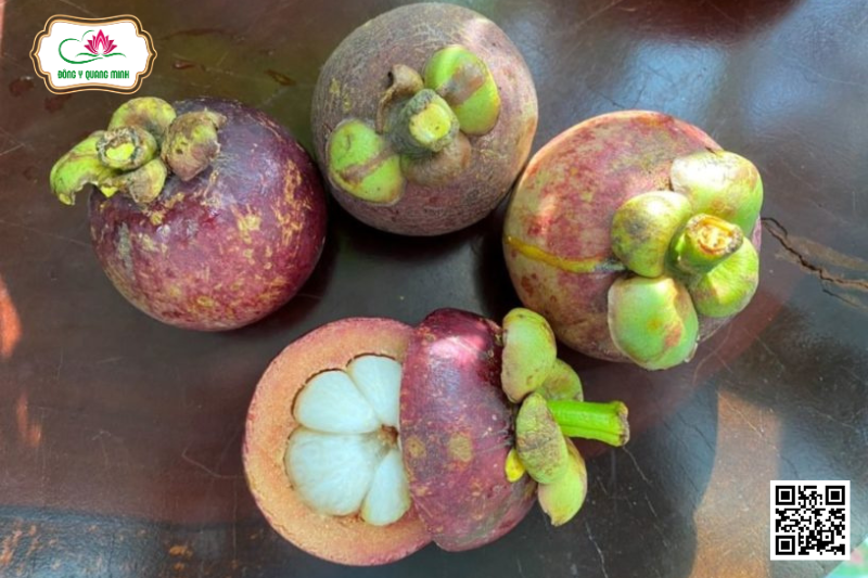 Măng Cụt – Garcinia Mangostana, Clusiaceae