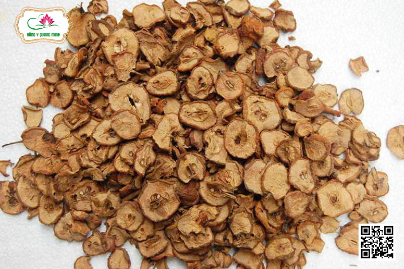 Sơn Tra - Malus Doumeri Và Docynia indica, Rosaceae