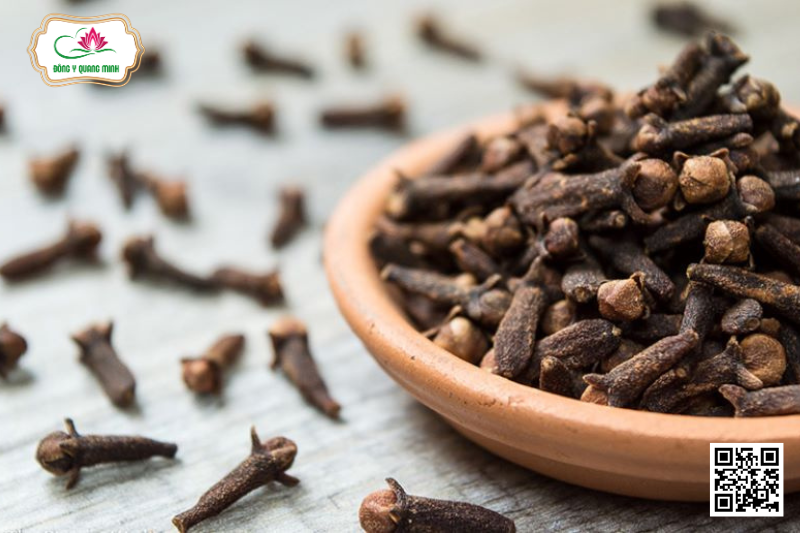 Đinh Hương – Syzygium Aromaticum, Myrtaceae