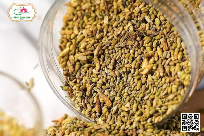 Hòe - Styphnolobium Japonicum, Fabaceae