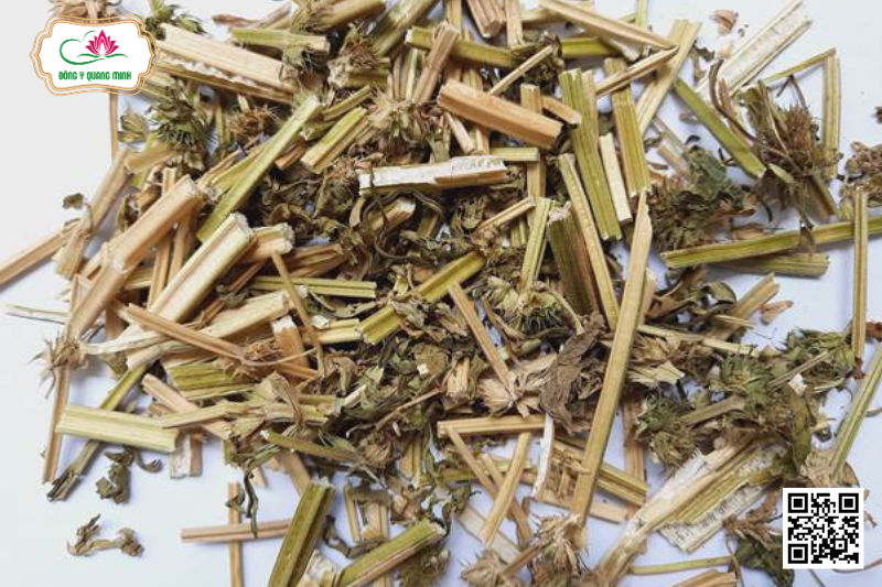 Ích Mẫu - Leonurus Japonicus, Lamiaceae