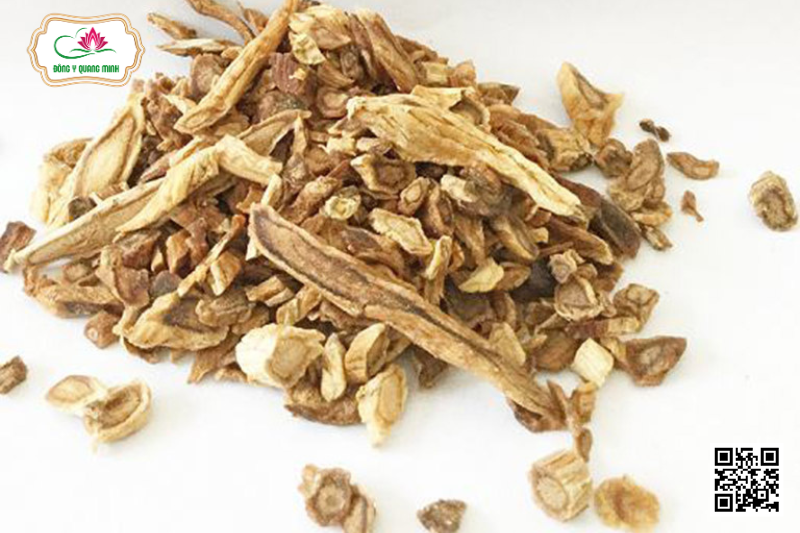 Cát Cánh - Platycodon Grandiflorus, Campanulaceae