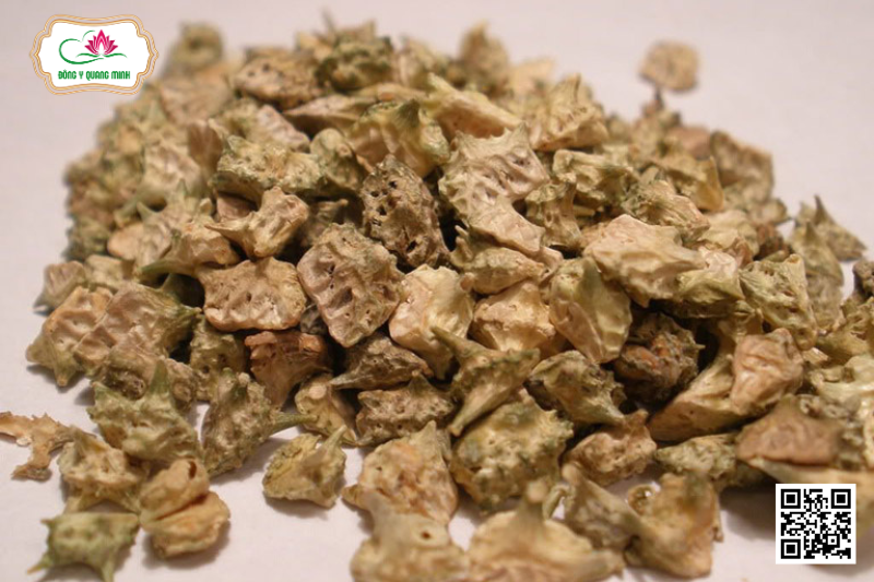 Bạch tật Lê – Tribulus Terrestris, Zygophyllaceae