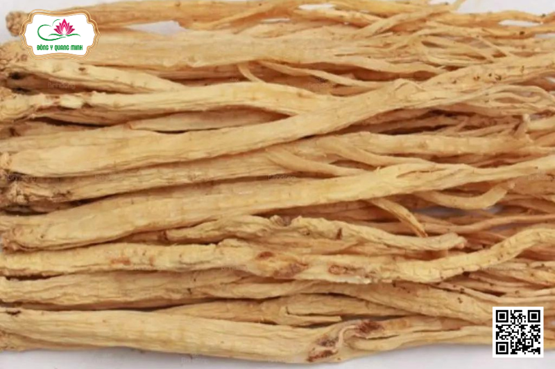 Ngưu Tất - Achyranthes Bidentata, Amaranthaceae