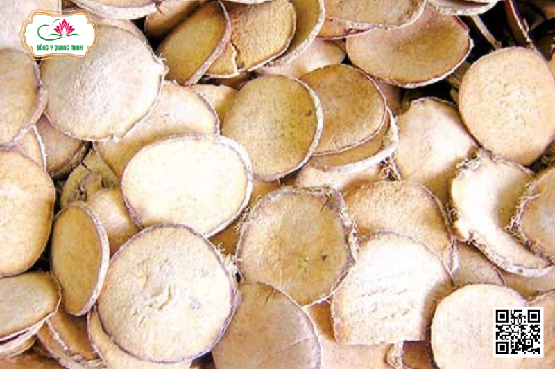 Trạch Tả – Alisma Plantago-aquatica, Alismataceae