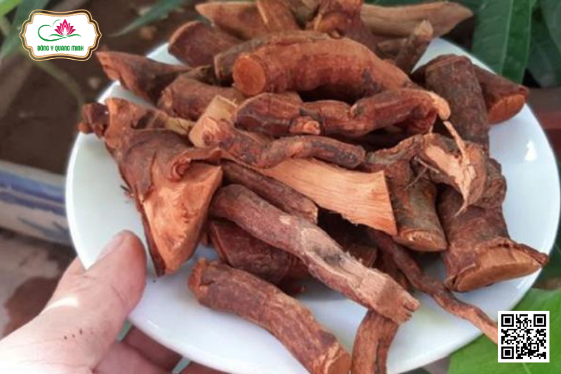 Dây Lửa Ít Gân - Rourea Oligophlebia Merr